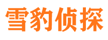 肃宁寻人公司